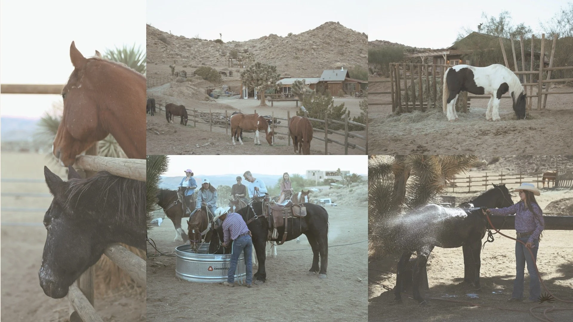 Stay with us — Knob Hill Ranch